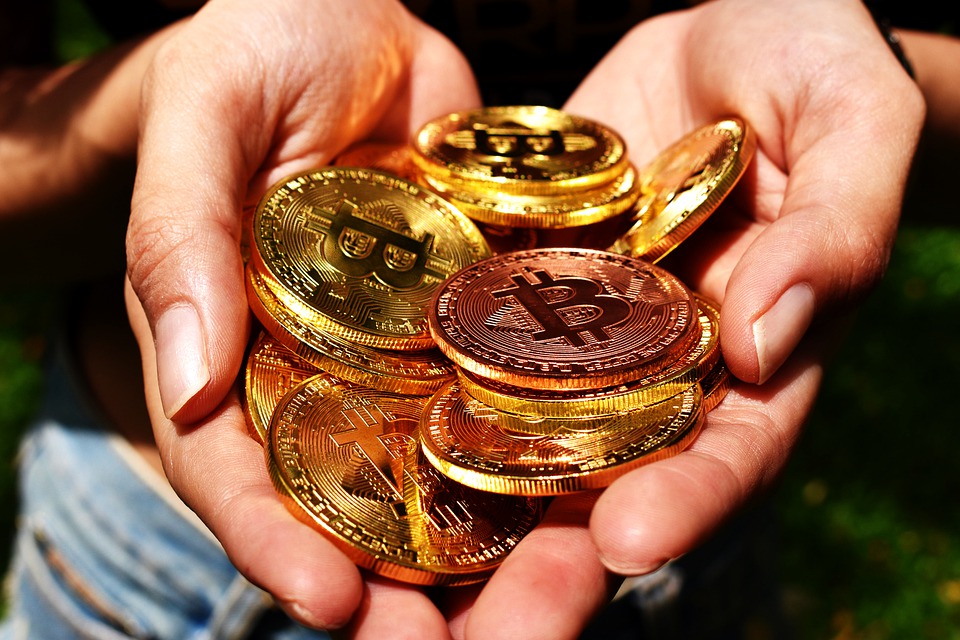FX初心者は通貨選びが重要
