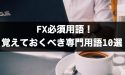 FX必須用語！FX初心者が覚えておくべき専門用語10選