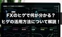 FXのヒゲで何が分かる？ヒゲの活用方法について解説！