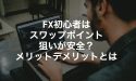 FX初心者はスワップポイント狙いが安全？メリットデメリットとは